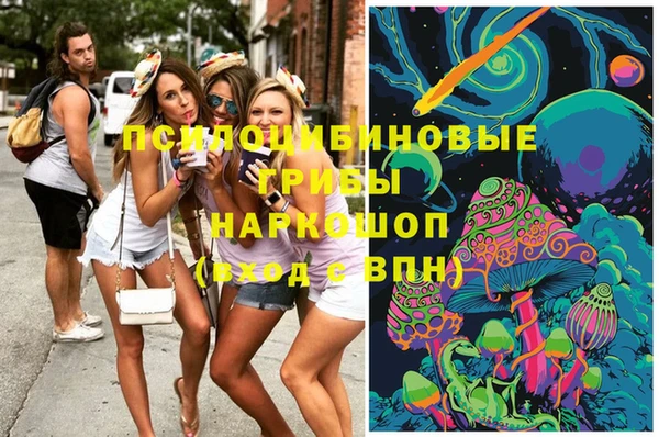 прущая мука Белокуриха