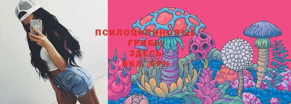 прущая мука Белокуриха