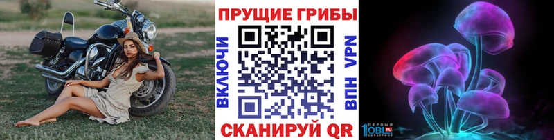 цены наркотик  ОМГ ОМГ онион  Псилоцибиновые грибы Psilocybe  Ульяновск 